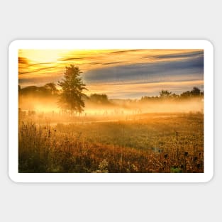 Morning Mist Over Country Road Sticker